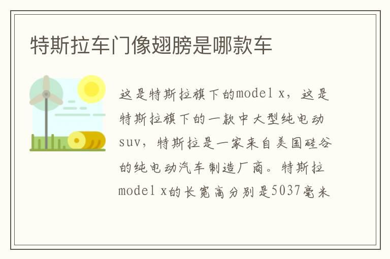 特斯拉车门像翅膀是哪款车