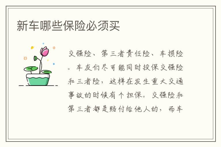 新车哪些保险必须买