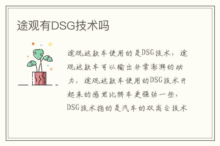 途观有DSG技术吗