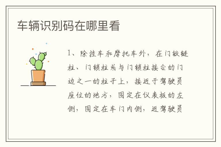 车辆识别码在哪里看
