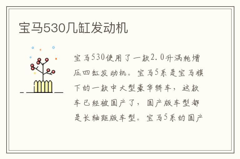 宝马530几缸发动机