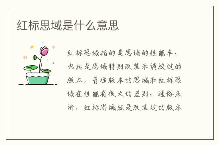 红标思域是什么意思