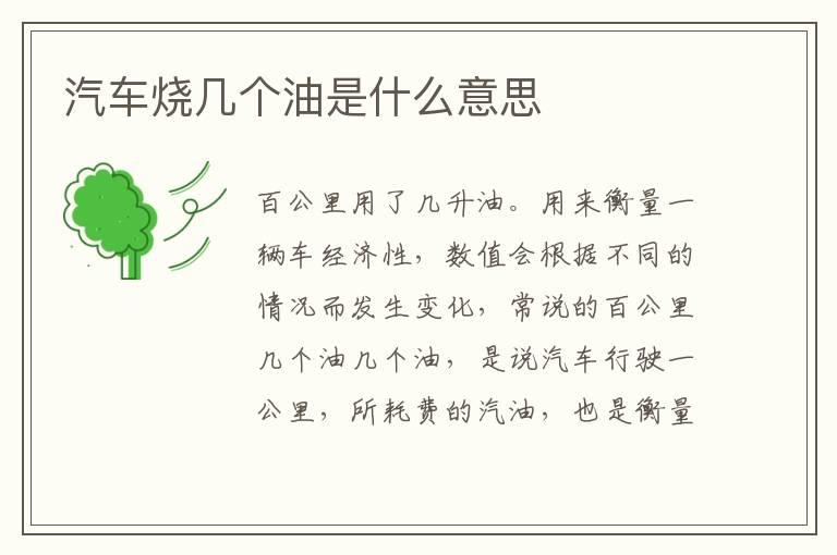 汽车烧几个油是什么意思