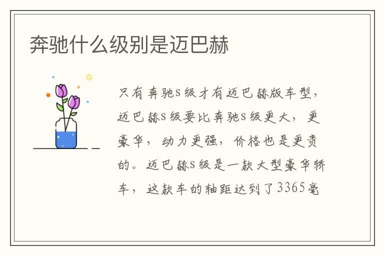 奔驰什么级别是迈巴赫