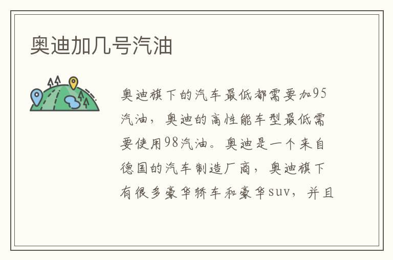 奥迪加几号汽油