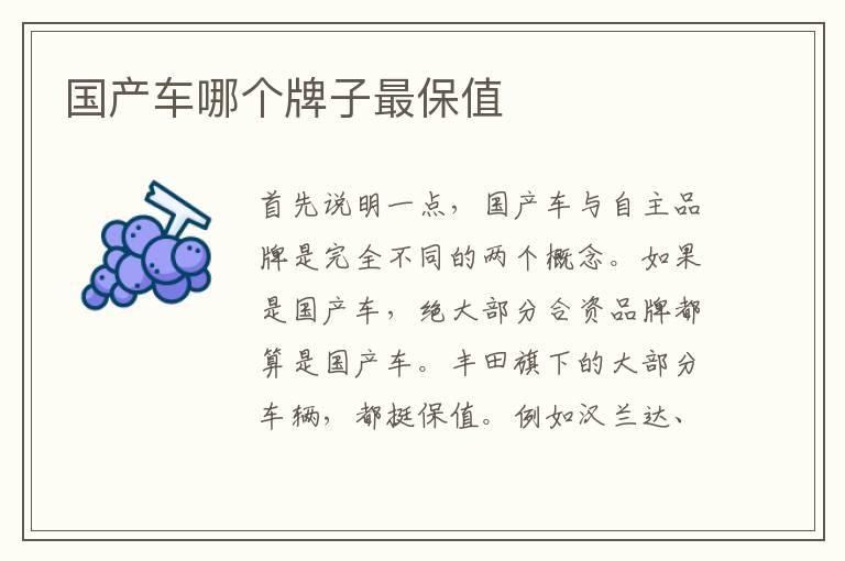 国产车哪个牌子最保值