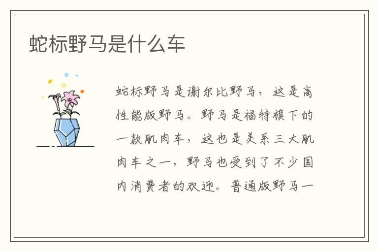蛇标野马是什么车