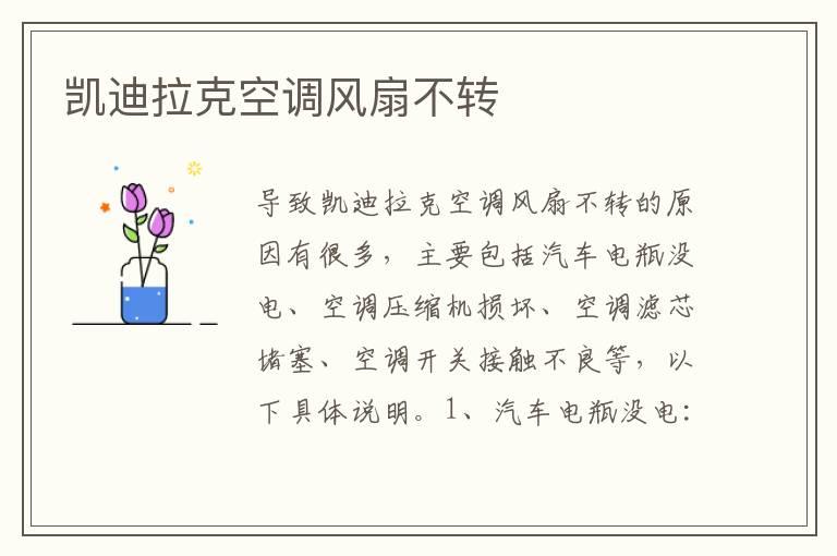 凯迪拉克空调风扇不转