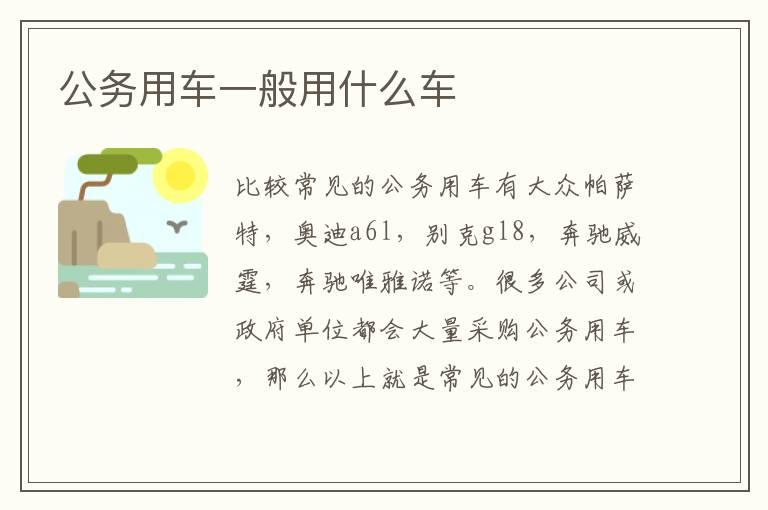 公务用车一般用什么车