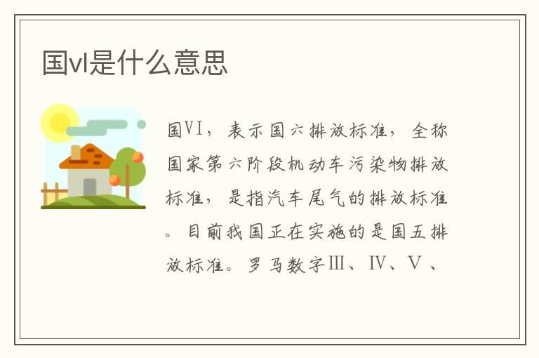 国vl是什么意思