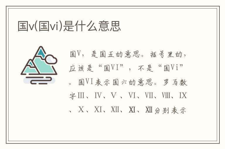 国v(国vi)是什么意思