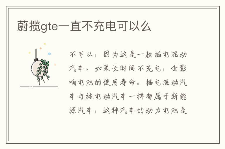 蔚揽gte一直不充电可以么