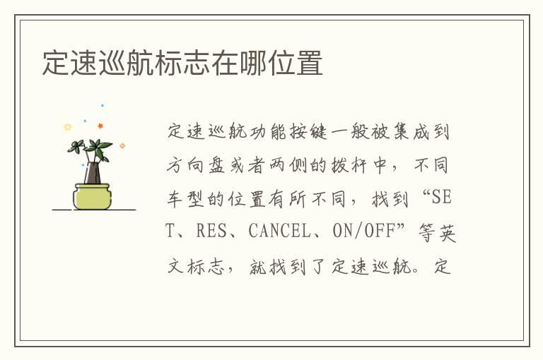 定速巡航标志在哪位置