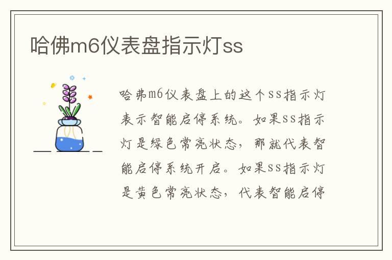 哈佛m6仪表盘指示灯ss