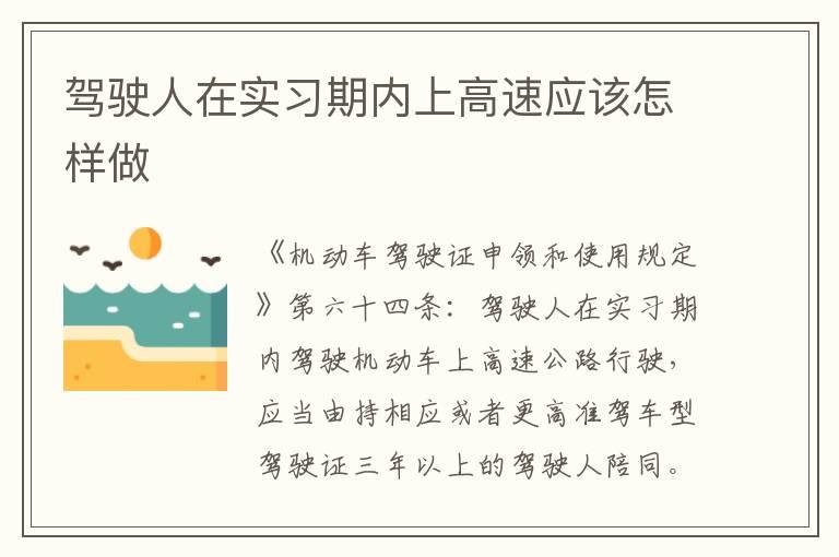 驾驶人在实习期内上高速应该怎样做