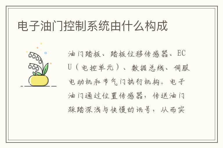 电子油门控制系统由什么构成