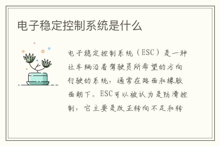 电子稳定控制系统是什么