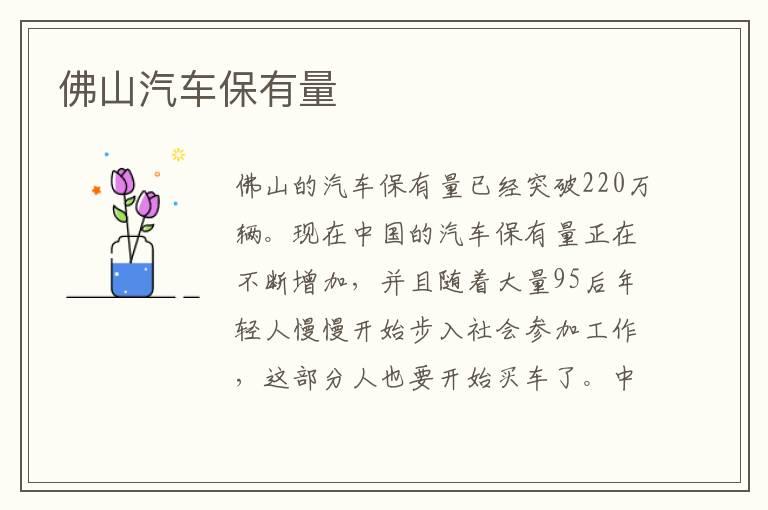 佛山汽车保有量