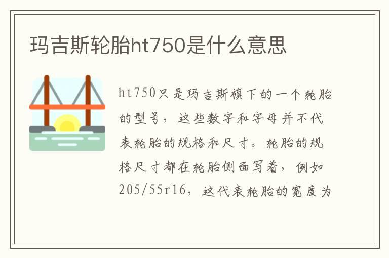 玛吉斯轮胎ht750是什么意思