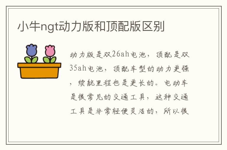 小牛ngt动力版和顶配版区别