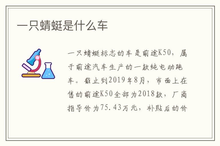 一只蜻蜓是什么车