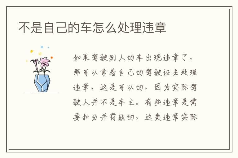 不是自己的车怎么处理违章