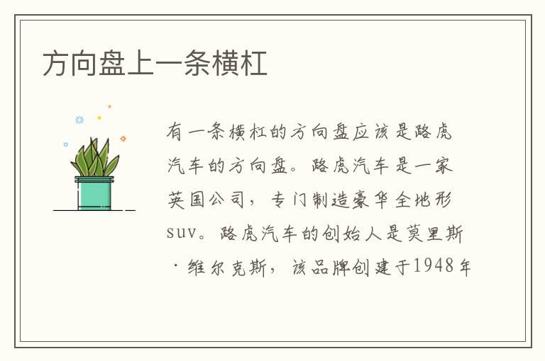 方向盘上一条横杠