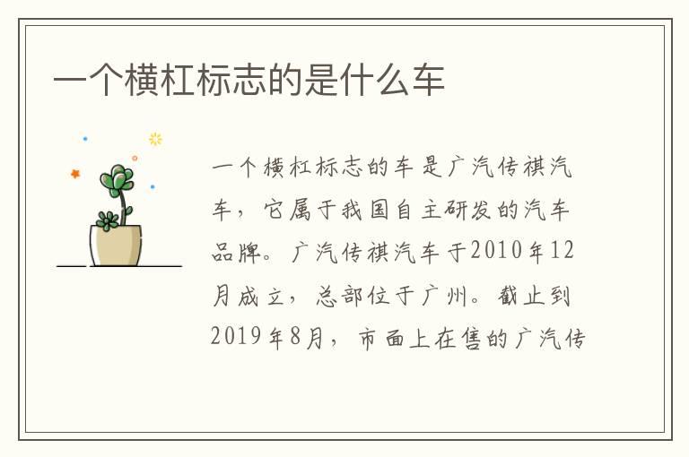 一个横杠标志的是什么车