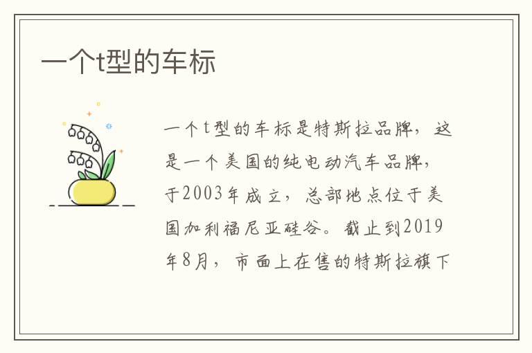 一个t型的车标