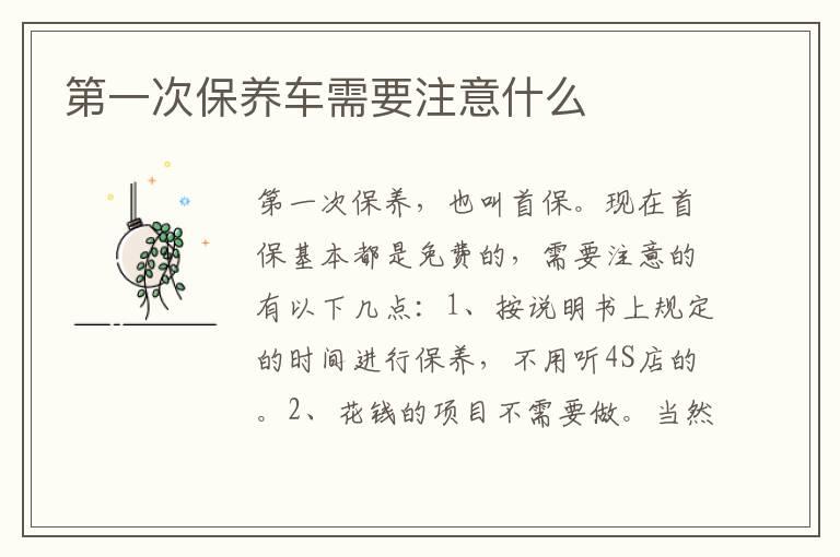 第一次保养车需要注意什么