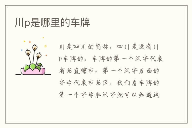 川p是哪里的车牌