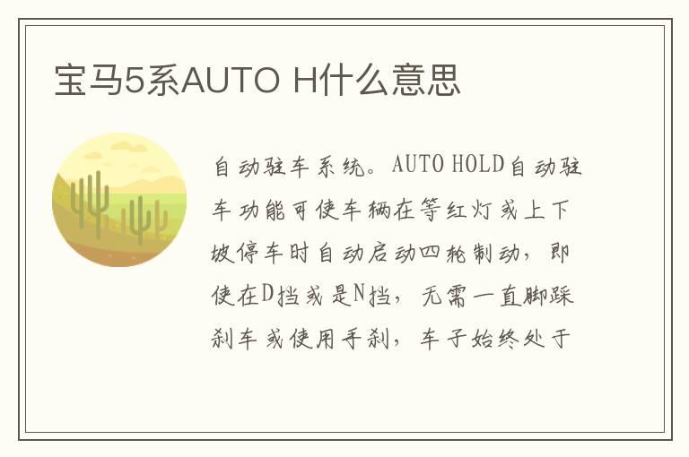 宝马5系AUTO H什么意思