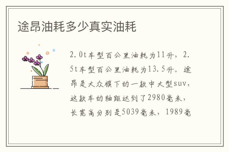 途昂油耗多少真实油耗