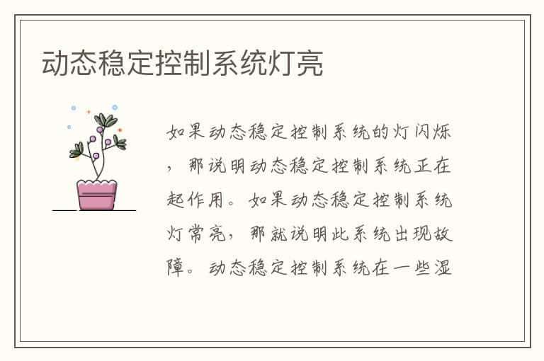 动态稳定控制系统灯亮