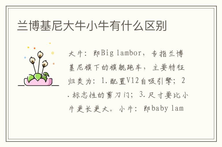 兰博基尼大牛小牛有什么区别