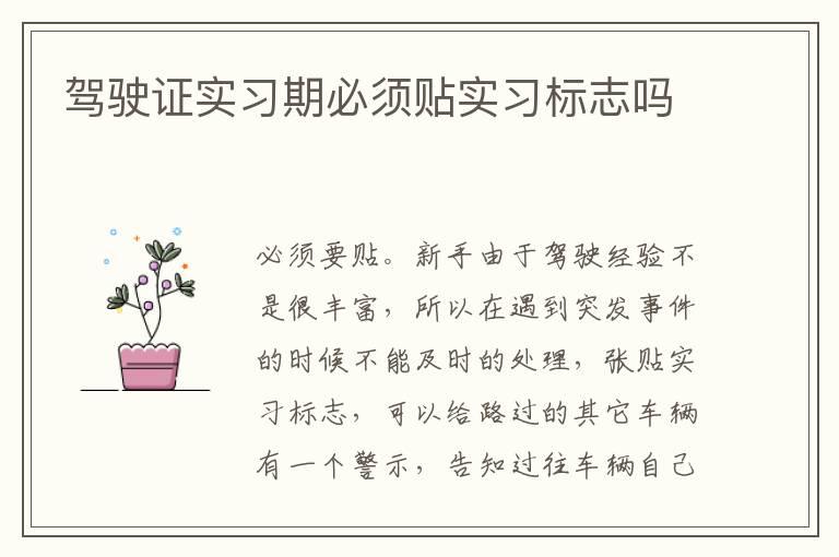 驾驶证实习期必须贴实习标志吗