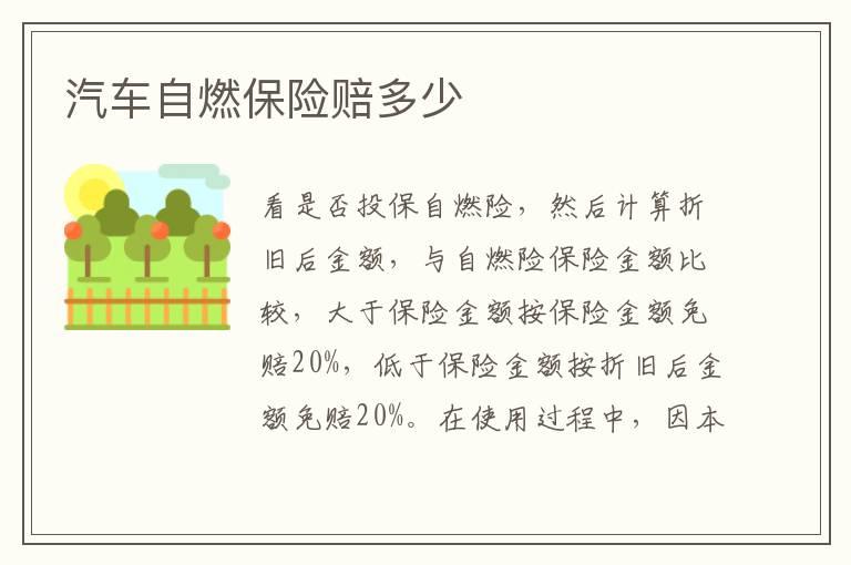 汽车自燃保险赔多少