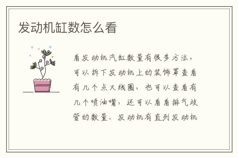 发动机缸数怎么看