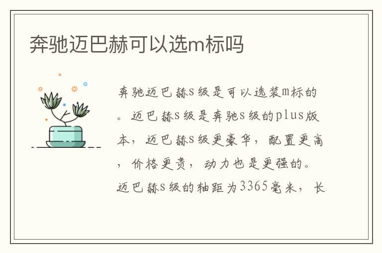 奔驰迈巴赫可以选m标吗