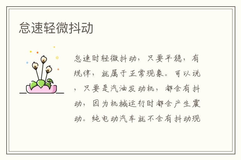 怠速轻微抖动