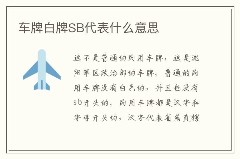 车牌白牌SB代表什么意思
