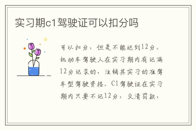 实习期c1驾驶证可以扣分吗