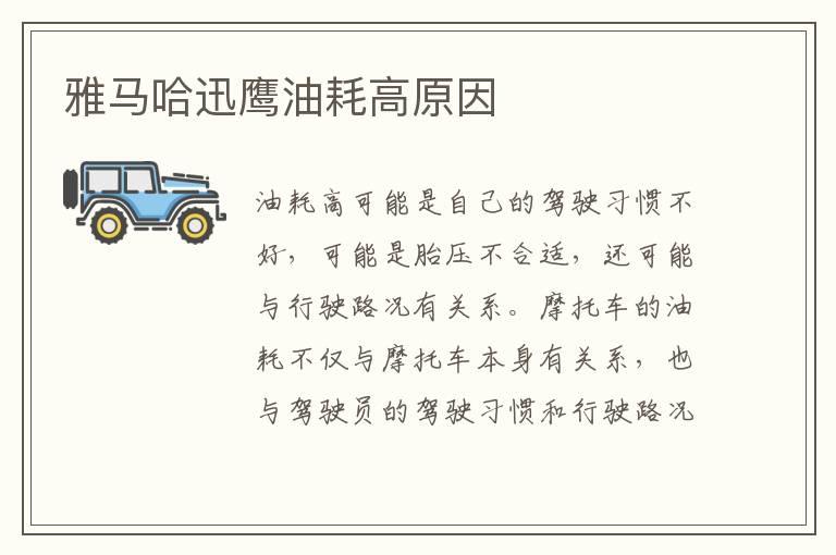 雅马哈迅鹰油耗高原因