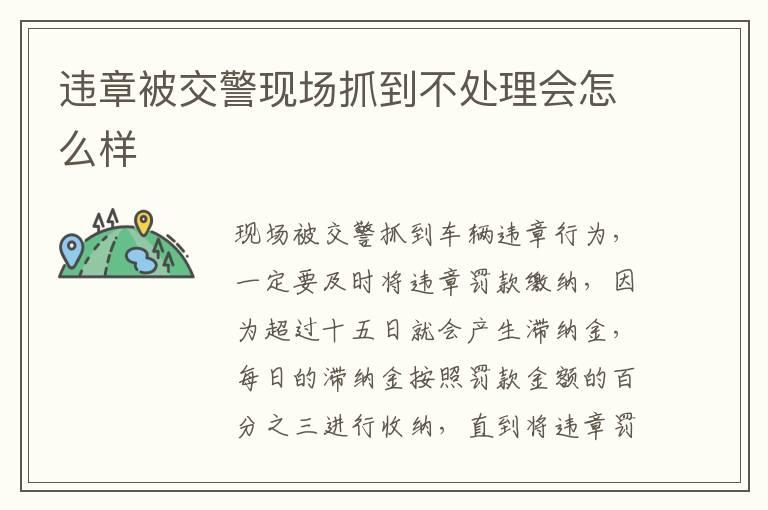 违章被交警现场抓到不处理会怎么样