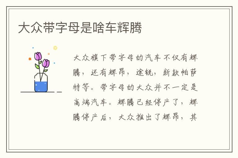大众带字母是啥车辉腾
