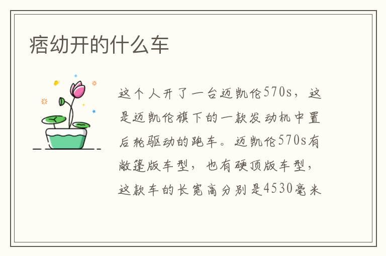 痞幼开的什么车