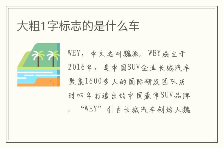 大粗1字标志的是什么车