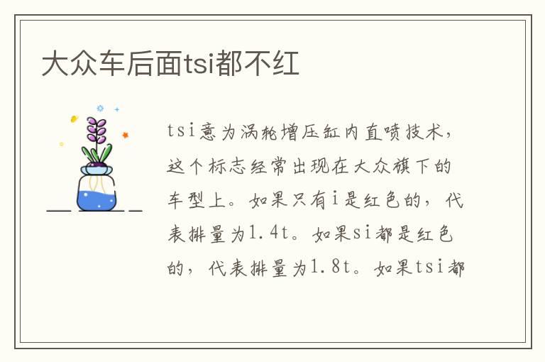 大众车后面tsi都不红