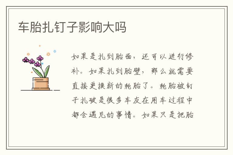 车胎扎钉子影响大吗