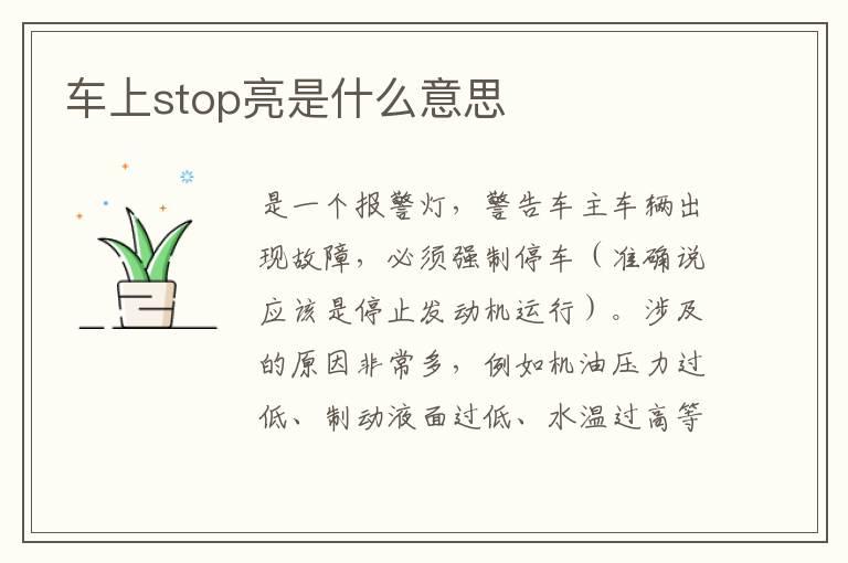 车上stop亮是什么意思